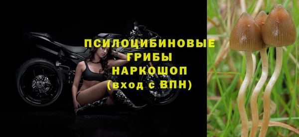 таблы Богородск