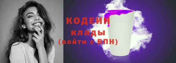 spice Богданович