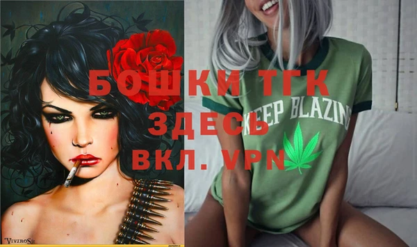 spice Богданович