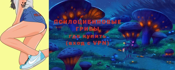 таблы Богородск