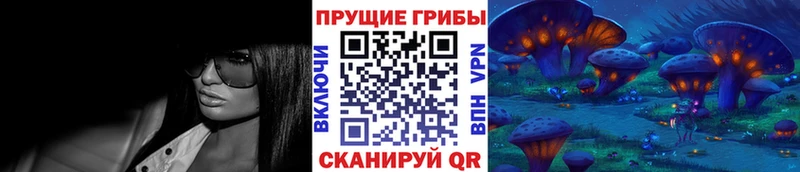 Купить Болохово Псилоцибиновые грибы Psilocybe